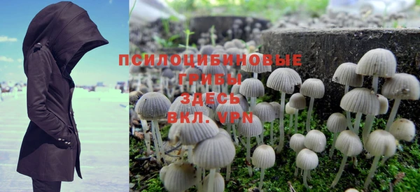 прущие крисы Дмитров