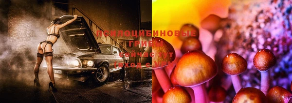 прущие крисы Дмитров