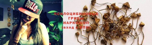 меф Дмитровск