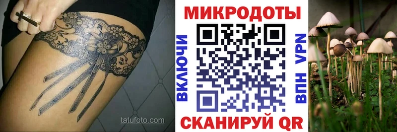 Галлюциногенные грибы MAGIC MUSHROOMS  купить наркотики сайты  Зеленокумск 