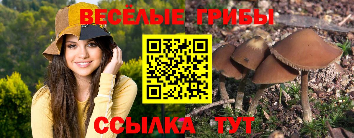 цены наркотик  Псилоцибиновые грибы Psilocybine cubensis  Вход с VPN  Зеленокумск 